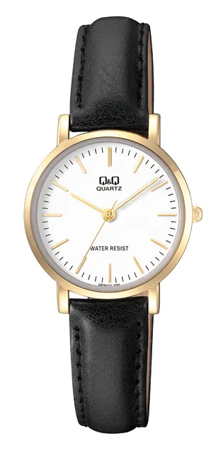 Q979J111Y | Q&Q Watches